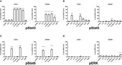 Mapping of Signaling Pathways Linked to sIgAD Reveals Impaired IL-21 Driven STAT3 B-Cell Activation